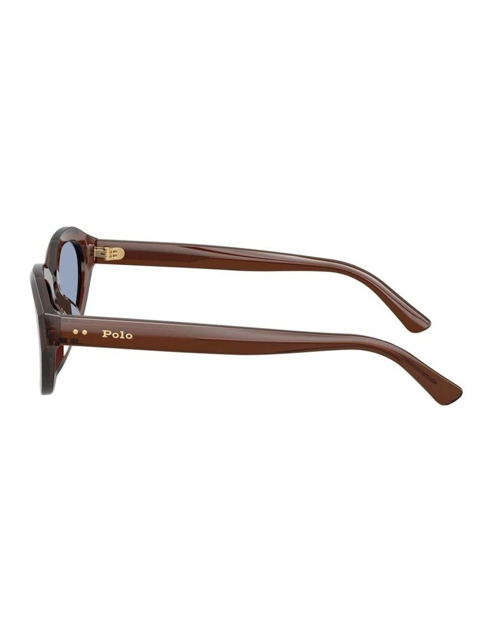 Acetate Sunglasses in Brown image 3