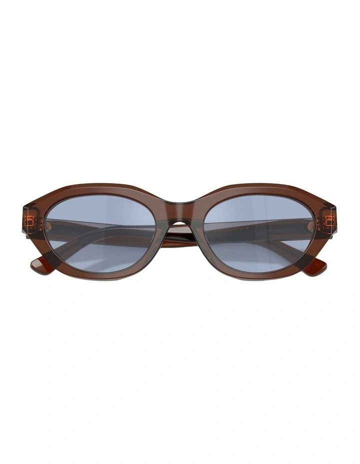 Acetate Sunglasses in Brown image 4
