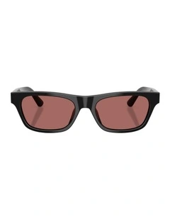 Acetate Sunglasses in Black