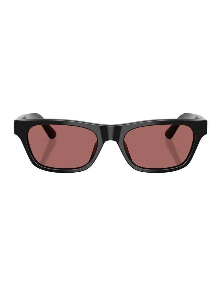 Acetate Sunglasses in Black image 1