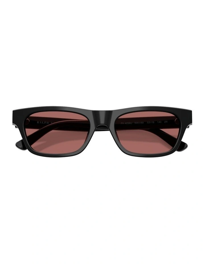 Acetate Sunglasses in Black image 5