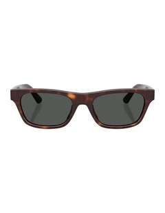 Acetate Sunglasses in Brown