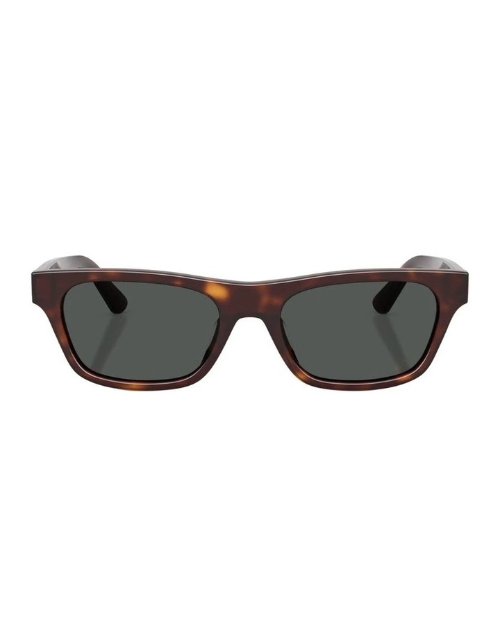 Acetate Sunglasses in Brown image 1