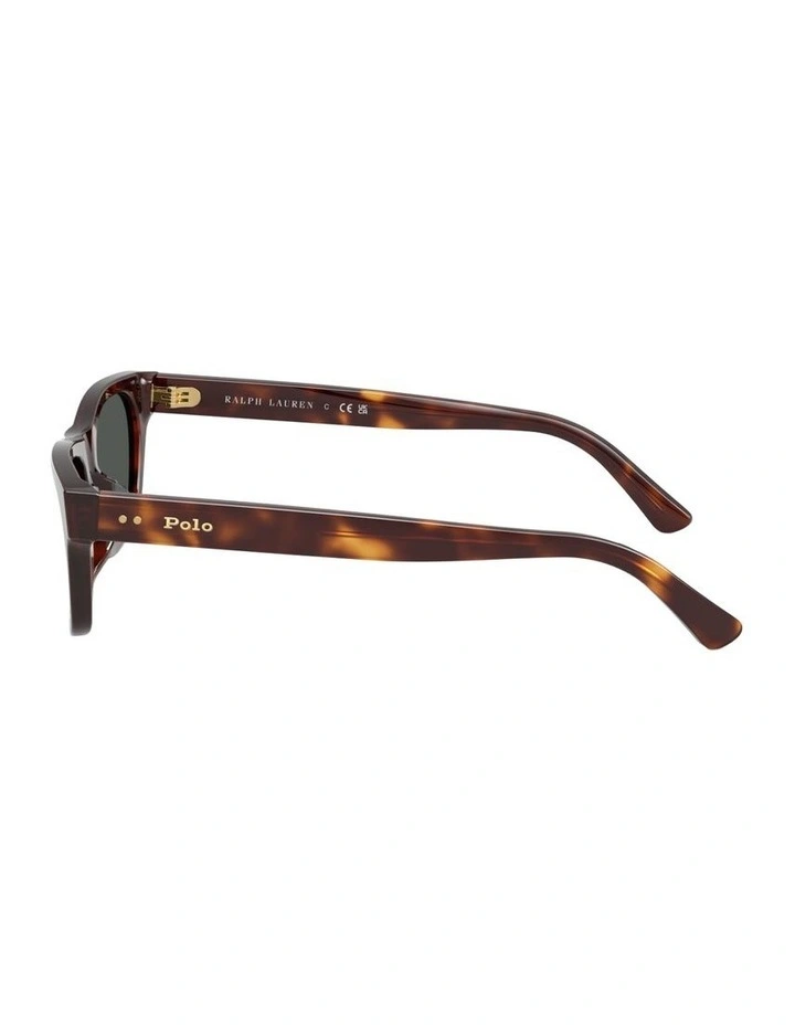 Acetate Sunglasses in Brown image 2