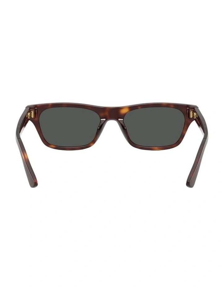 Acetate Sunglasses in Brown image 3