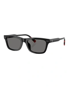 Acetate Polarised Sunglasses in Black