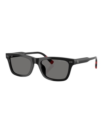 Shiny Black colour