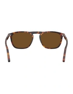 Gae Acetate Polarised Sunglasses PO3391S in Tortoise