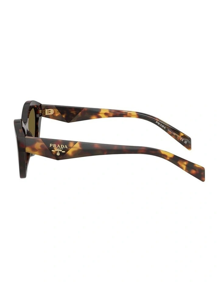 Acetate Sunglasses in Tortoise image 3