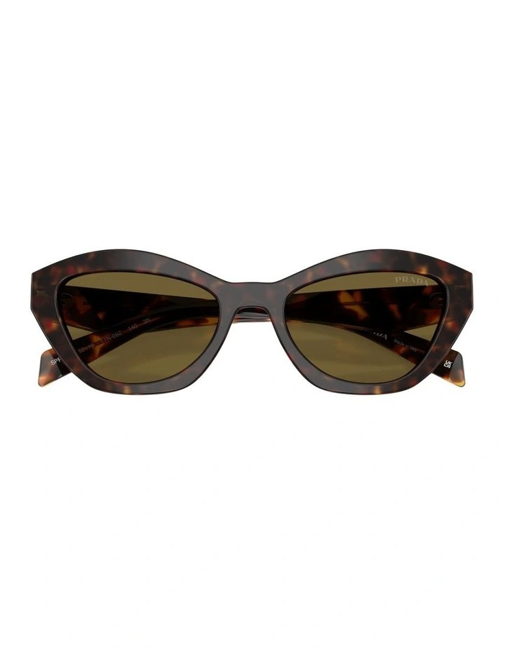 Acetate Sunglasses in Tortoise image 4