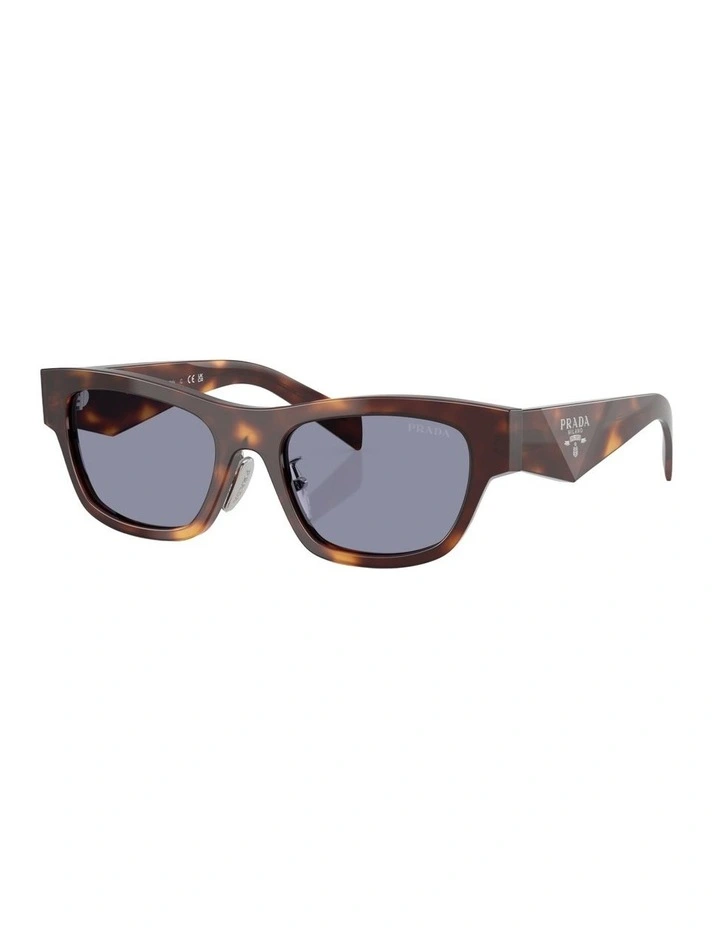Acetate Sunglasses in Tortoise image 1