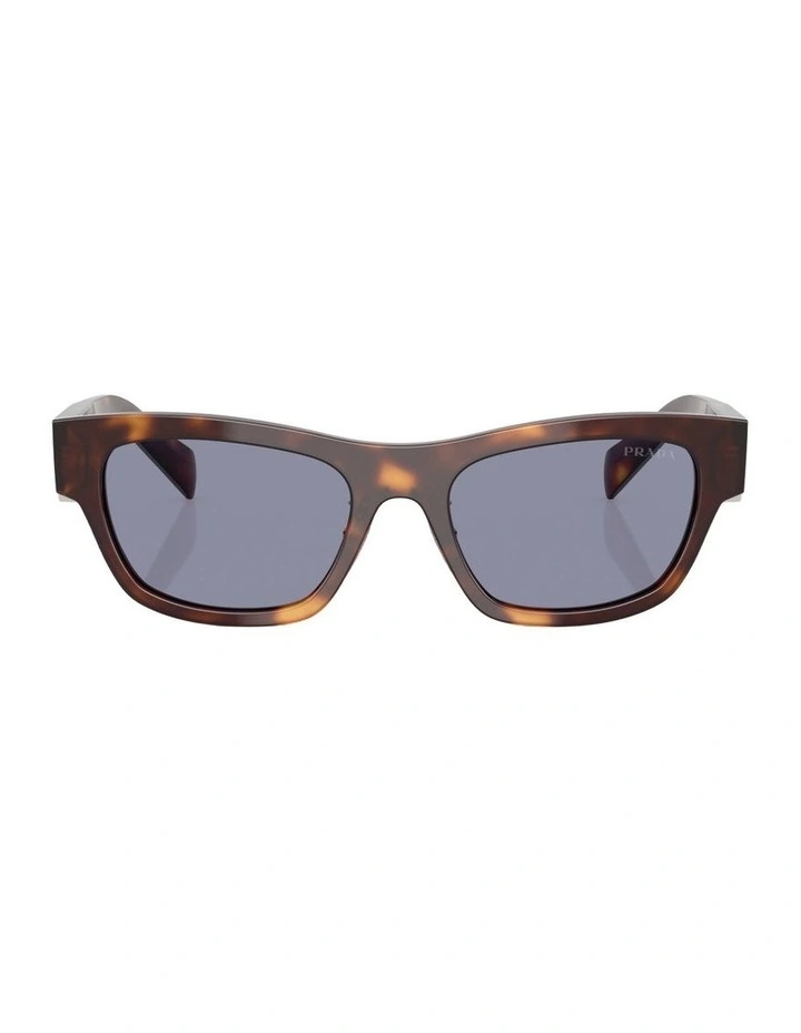 Acetate Sunglasses in Tortoise image 2
