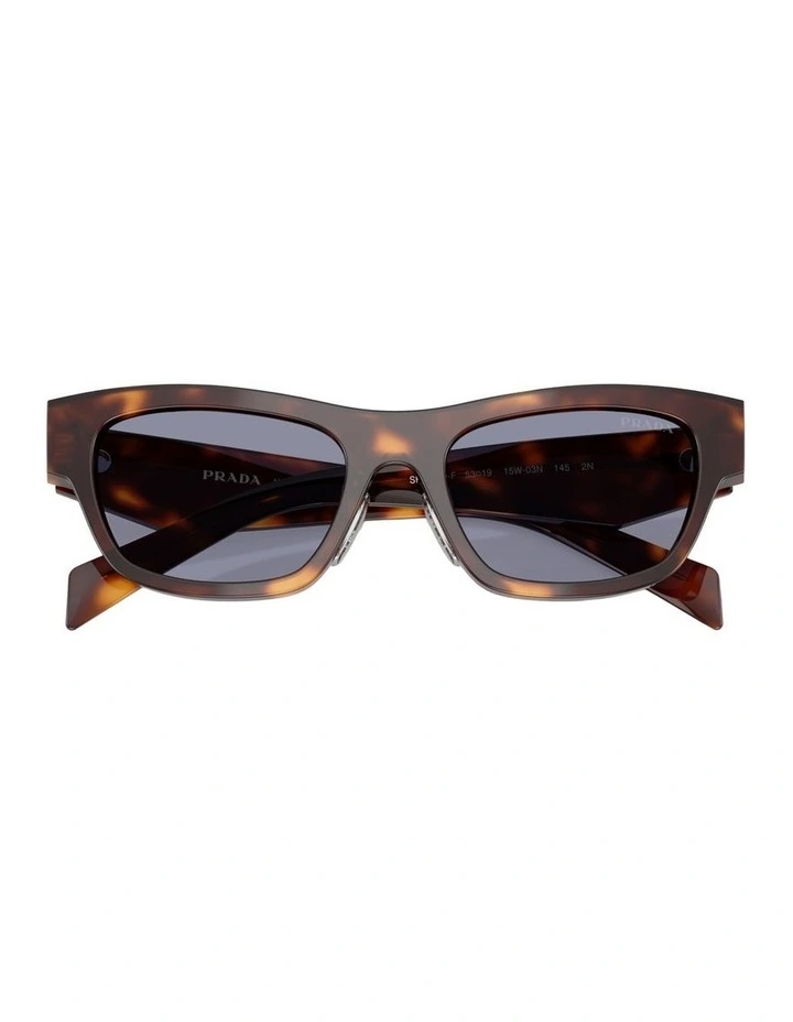 Acetate Sunglasses in Tortoise image 4