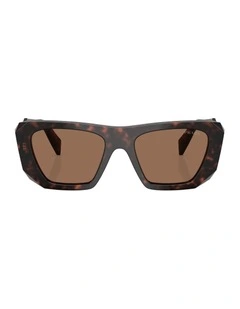 Acetate Sunglasses in Tortoise