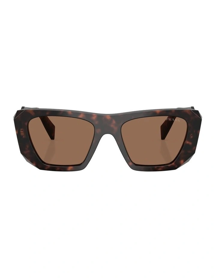 Acetate Sunglasses in Tortoise image 1