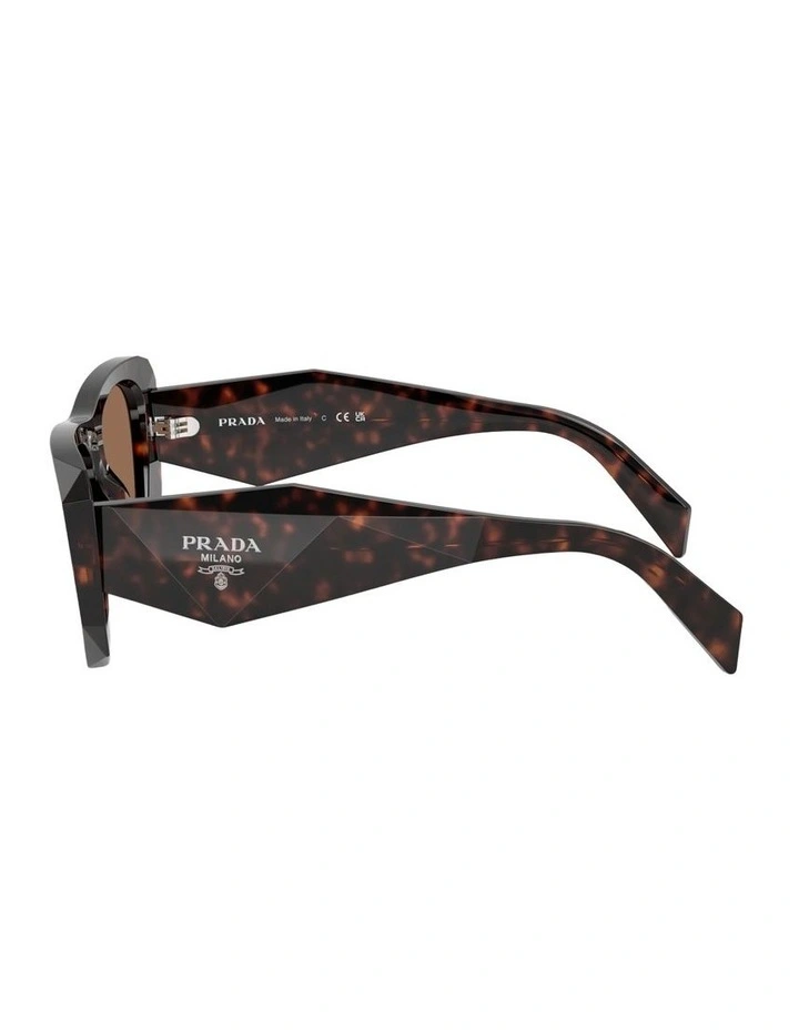 Acetate Sunglasses in Tortoise image 2
