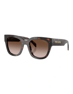 Acetate Sunglasses in Tortoise