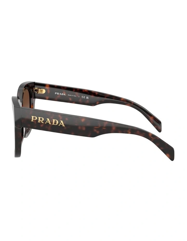 Acetate Sunglasses in Tortoise image 3