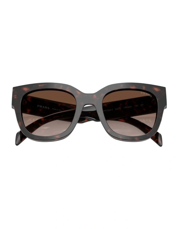 Acetate Sunglasses in Tortoise image 4