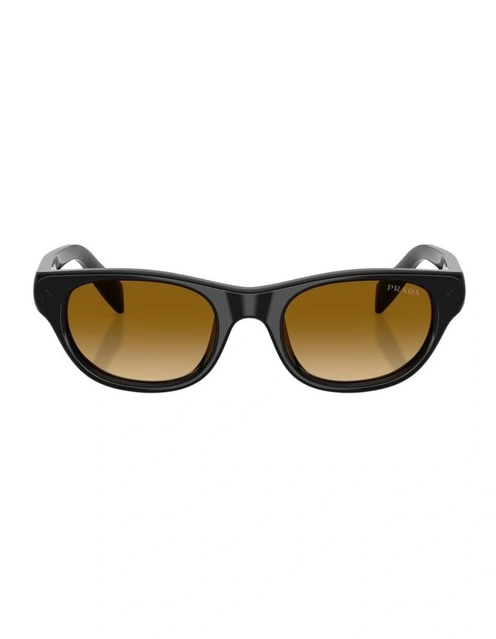 Acetate Sunglasses in Black image 1
