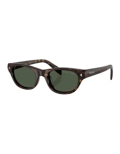 Acetate Polarised Sunglasses in Tortoise