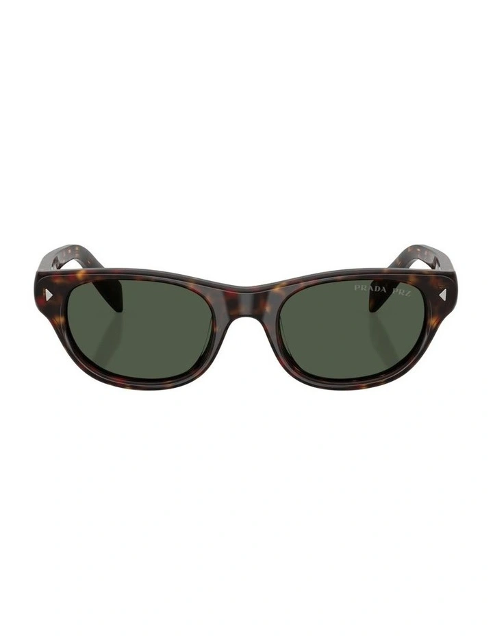 Acetate Polarised Sunglasses in Tortoise image 2