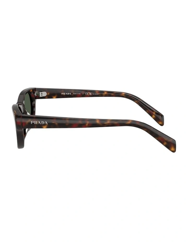 Acetate Polarised Sunglasses in Tortoise image 3