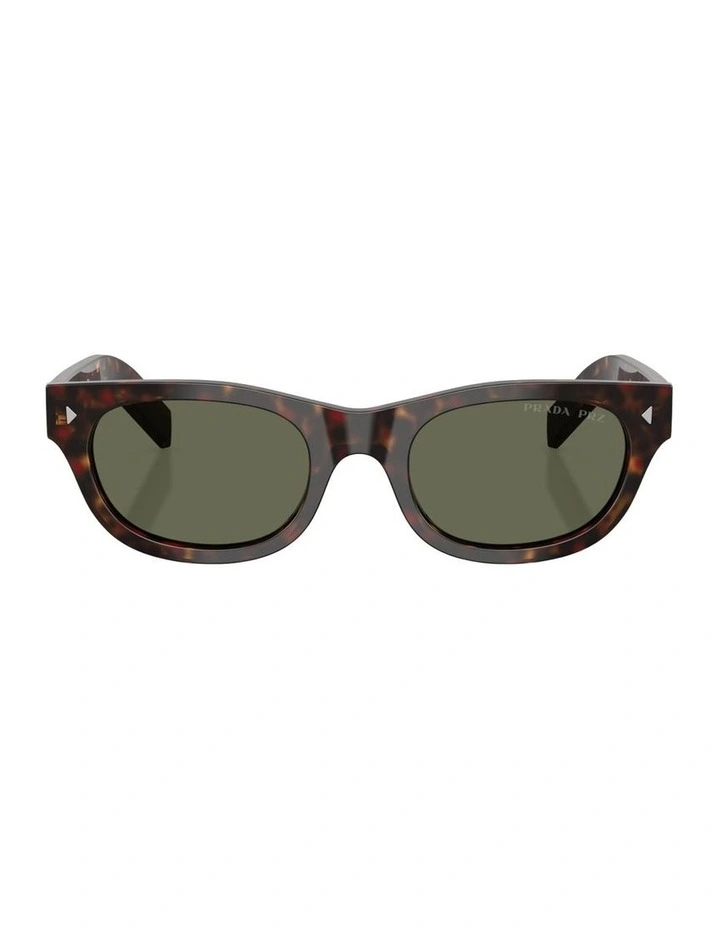 Acetate Polarised Sunglasses in Tortoise image 1