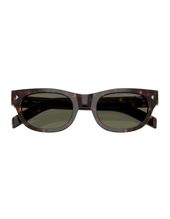 Acetate Polarised Sunglasses in Tortoise image 3