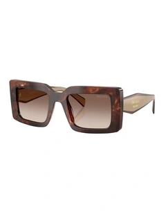 Acetate Sunglasses in Tortoise