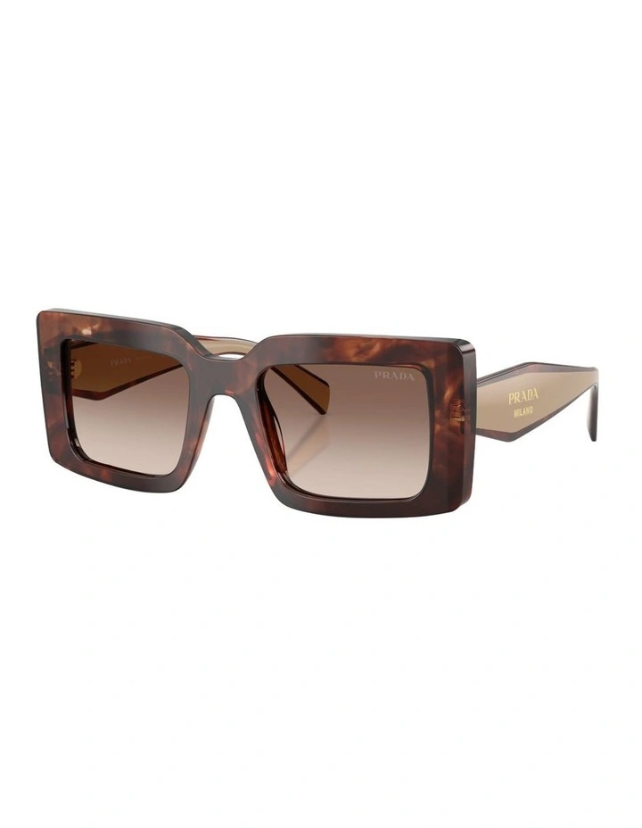 Acetate Sunglasses in Tortoise image 1