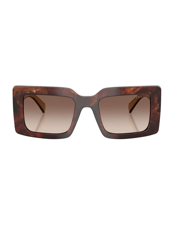 Acetate Sunglasses in Tortoise image 2