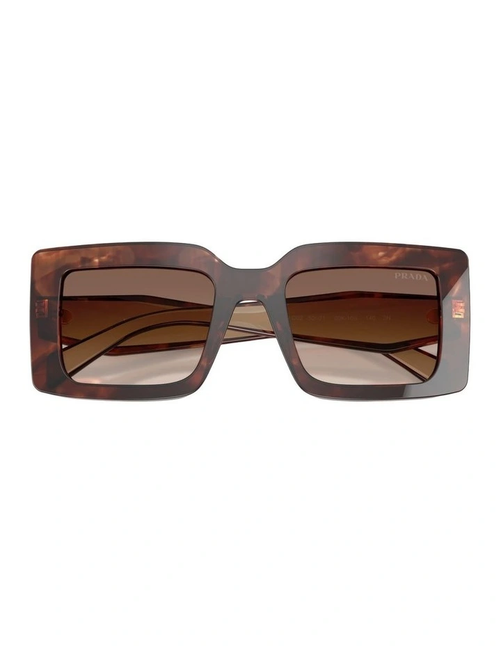 Acetate Sunglasses in Tortoise image 4