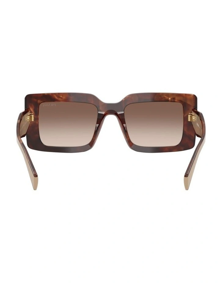 Acetate Sunglasses in Tortoise image 1
