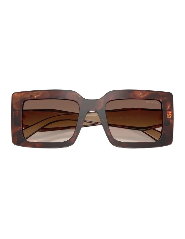 Acetate Sunglasses in Tortoise image 3