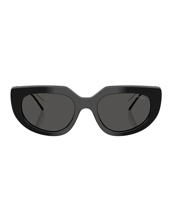 Acetate Sunglasses in Black image 1