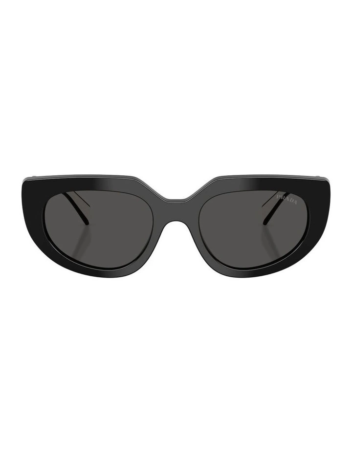 Acetate Sunglasses in Black image 1
