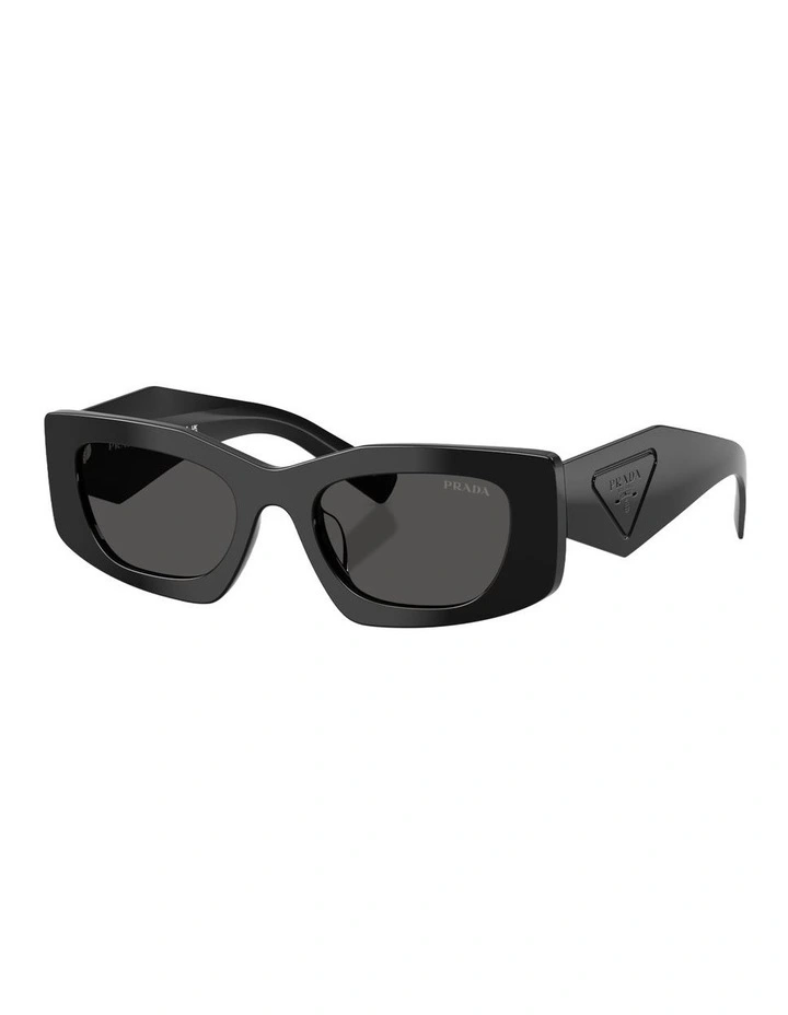 Acetate Sunglasses in Black image 1