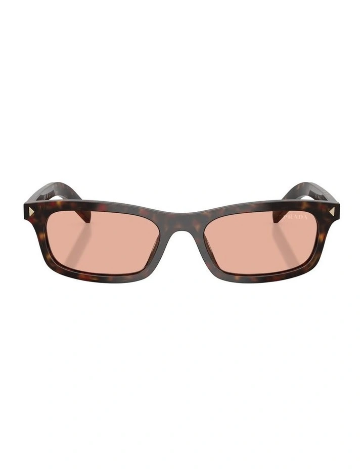 Acetate Sunglasses in Tortoise image 1