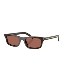 Acetate Sunglasses in Brown