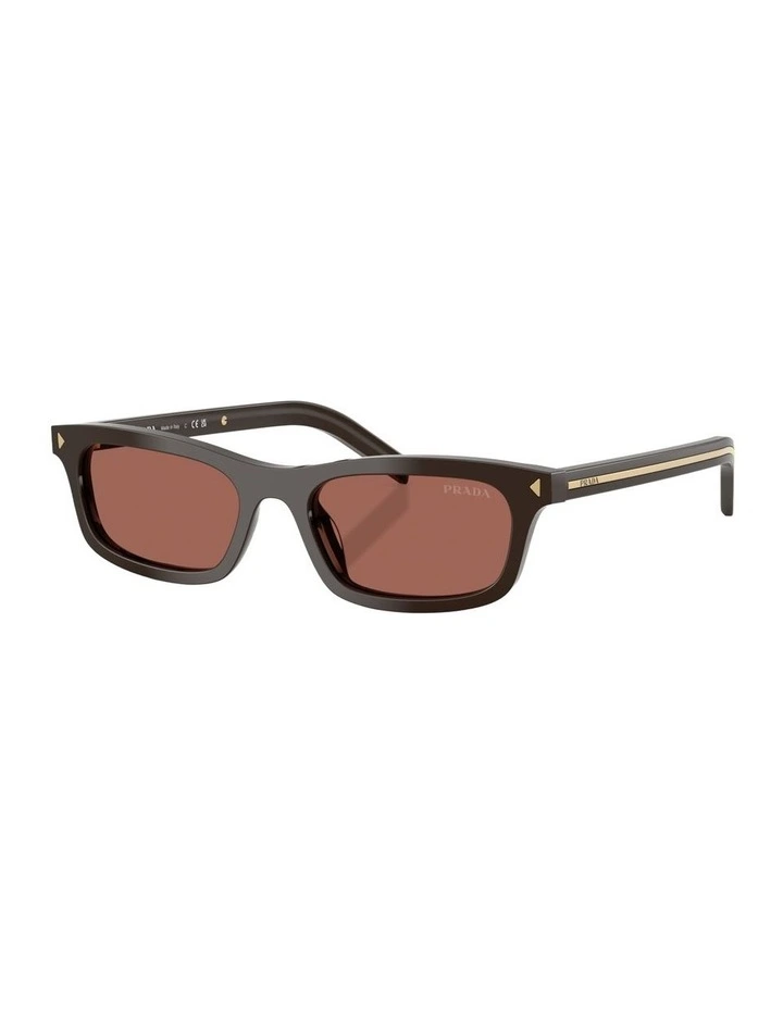 Acetate Sunglasses in Brown image 1