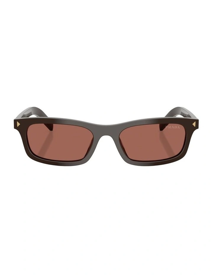 Acetate Sunglasses in Brown image 2