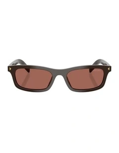 Acetate Sunglasses in Brown