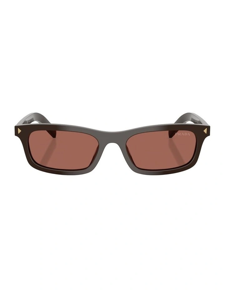 Acetate Sunglasses in Brown image 1