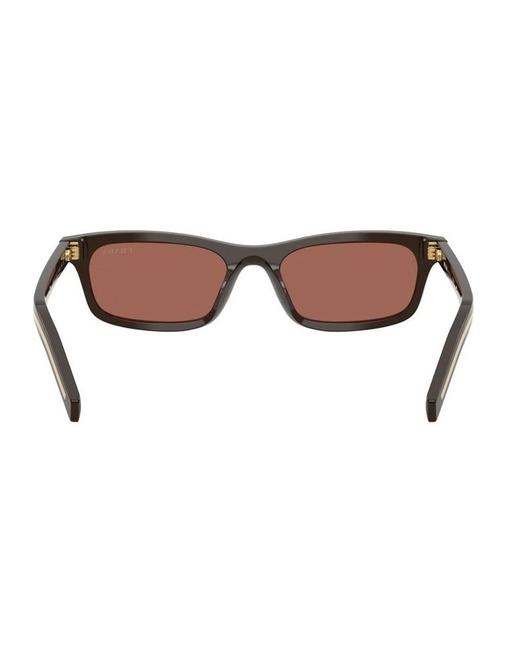 Acetate Sunglasses in Brown image 2