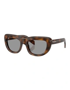 Acetate Sunglasses in Tortoise