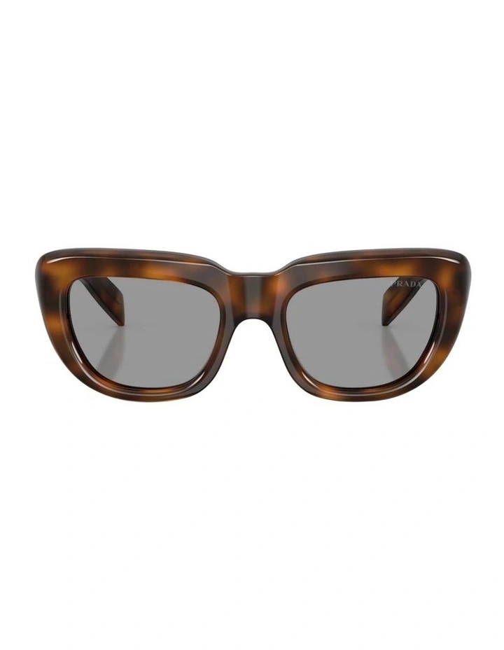 Acetate Sunglasses in Tortoise image 2