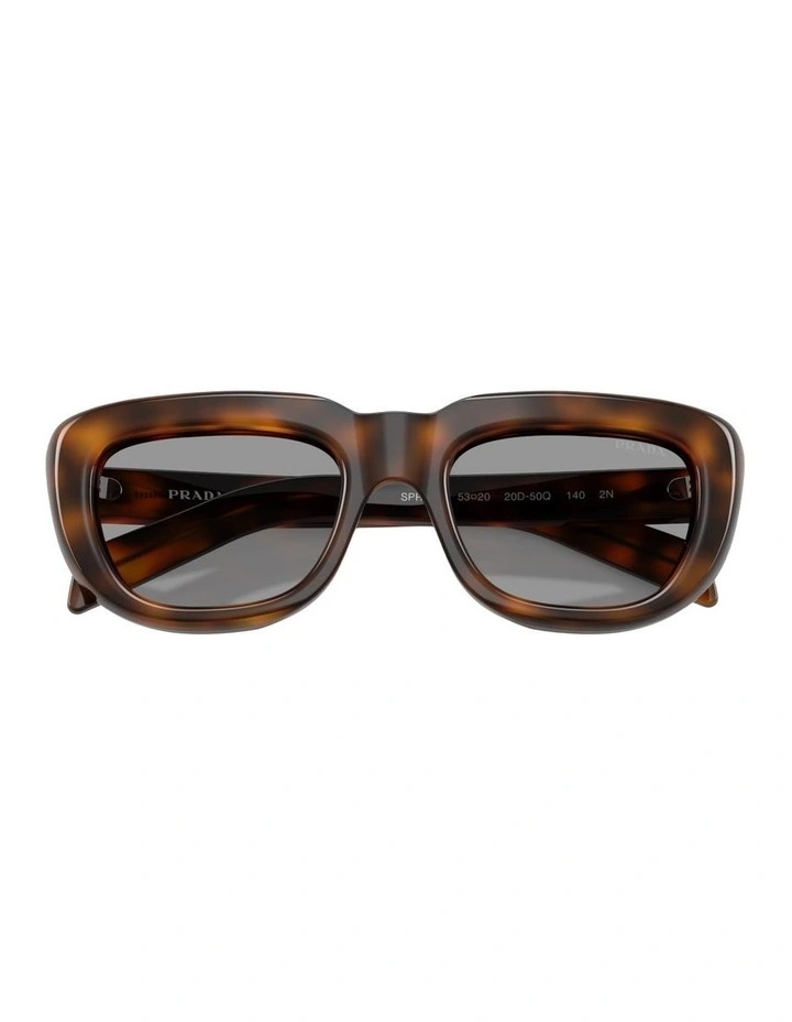 Acetate Sunglasses in Tortoise image 4