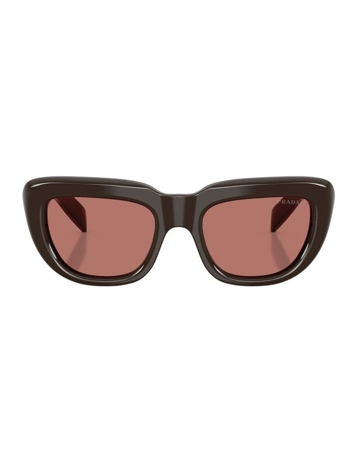 Acetate Sunglasses in Brown image 1