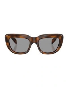 Acetate Sunglasses in Tortoise